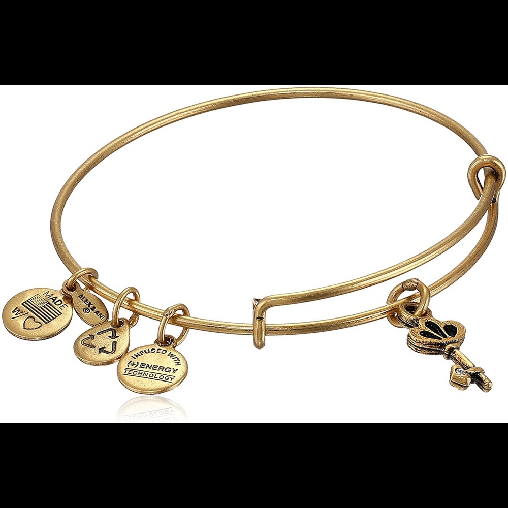 Alex and Ani Skeleton Key Bracelet